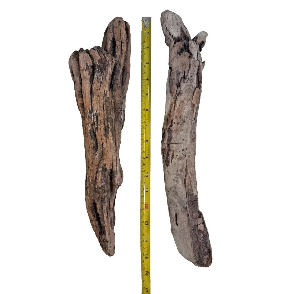 Set of 2 Cali. Coast Wavy Natural Driftwood Beach Burlwood 1.10 Lbs Terrarium
